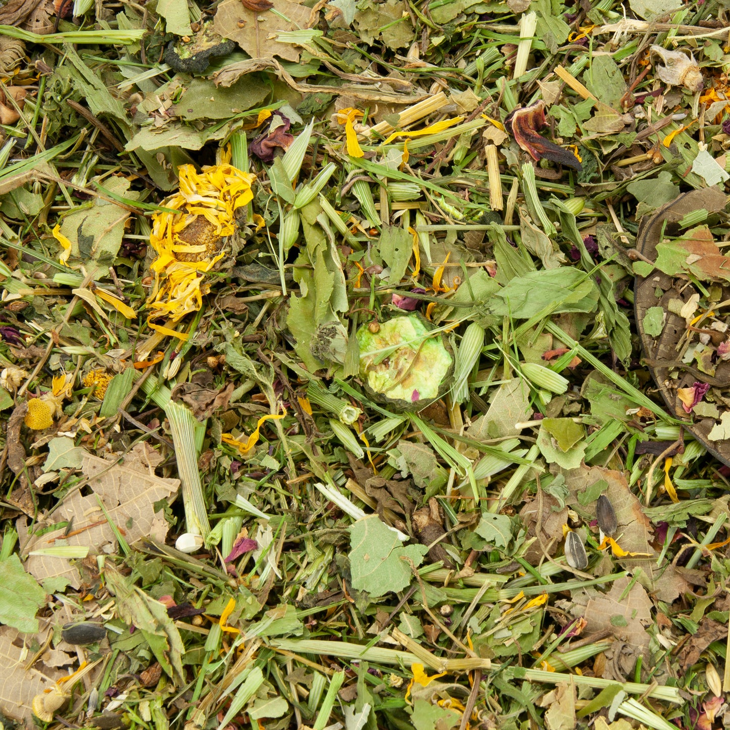 Futtermischung für Degus