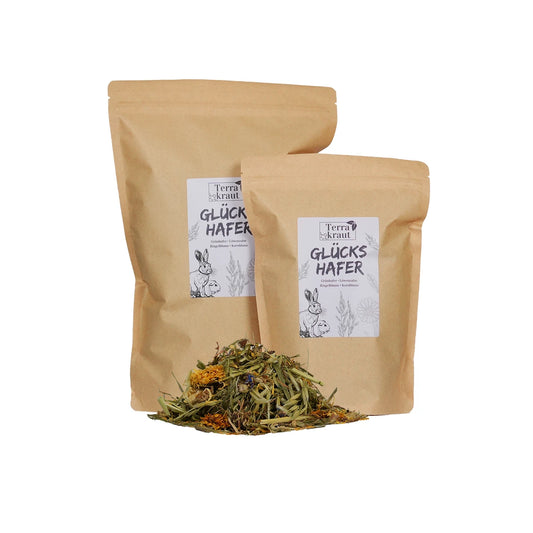 Terrakraut Glückshafer