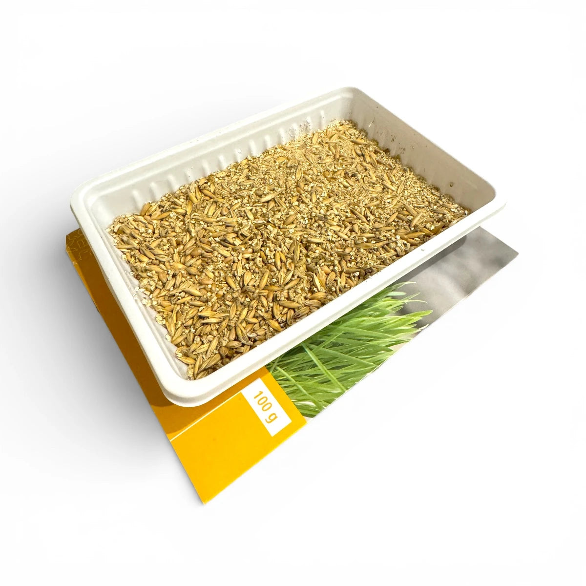 Nagergras – Grünfutter zum Selberziehen