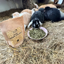 Terrakraut Nager-Pellets