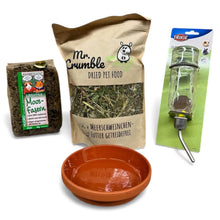 Quiek-Paket für Meerschweinchen