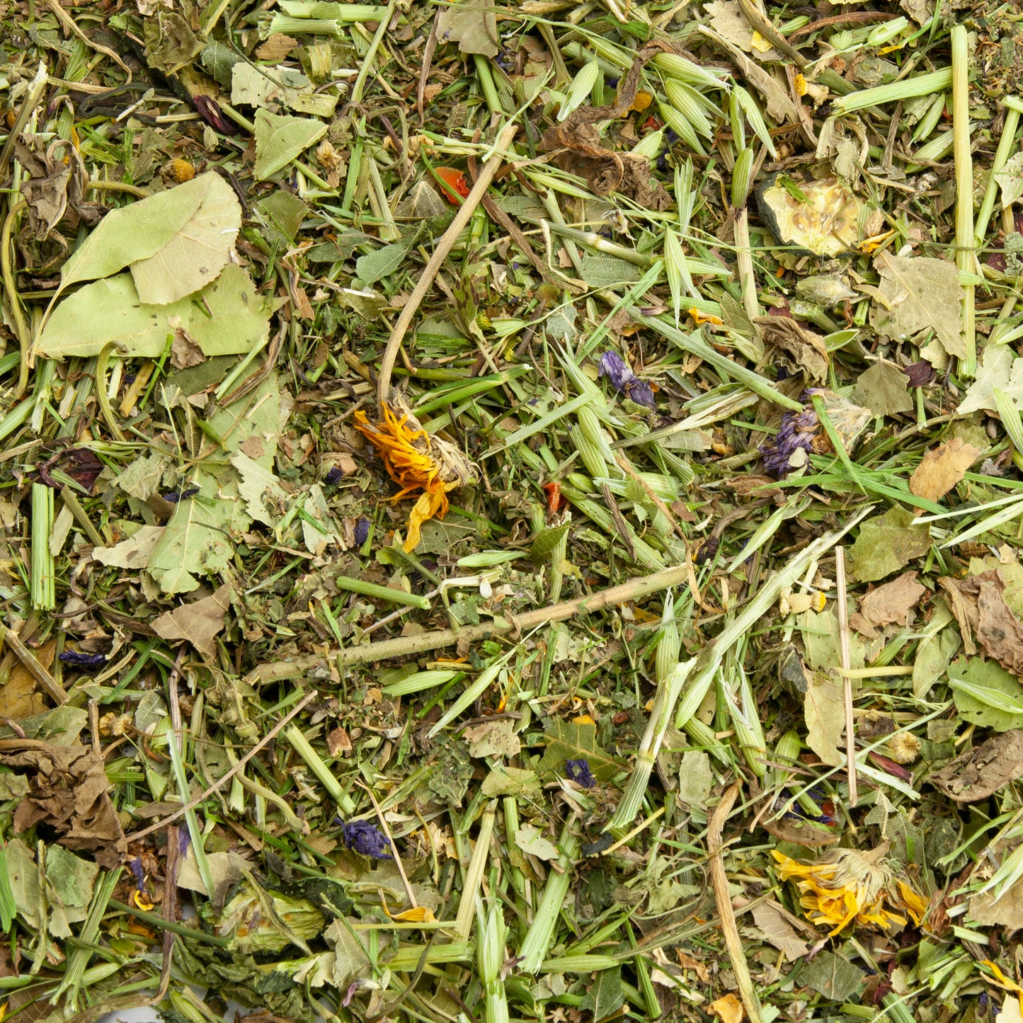 Futtermischung für Chinchillas