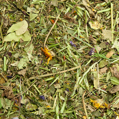 Futtermischung für Chinchillas