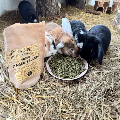 Terrakraut Nager-Pellets