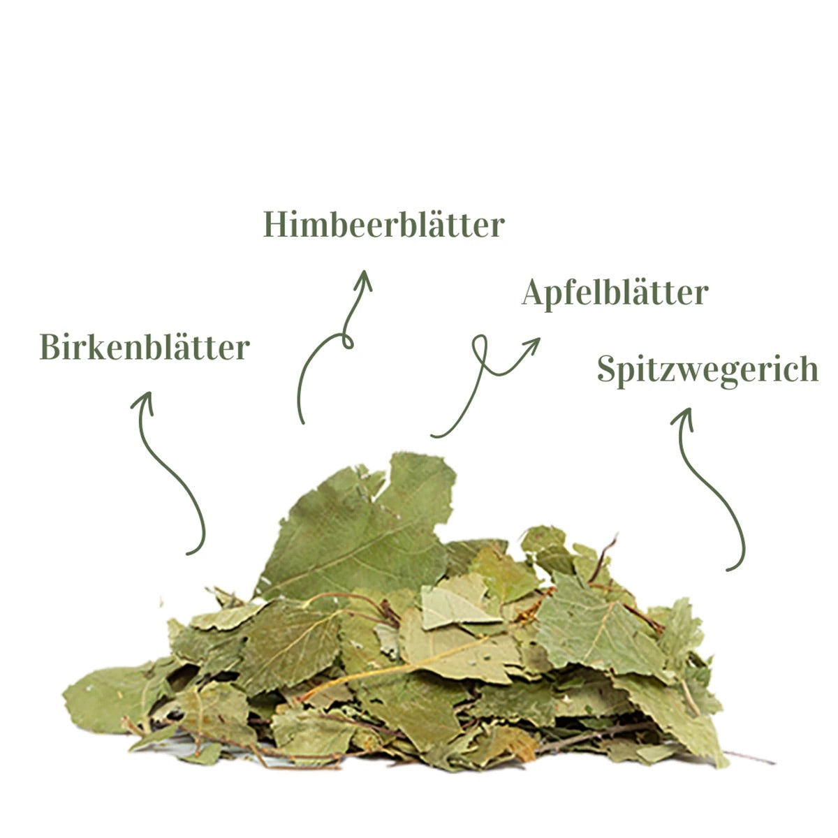 Terrakraut Kronengrün – 200 g