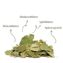 Terrakraut Kronengrün – 200 g