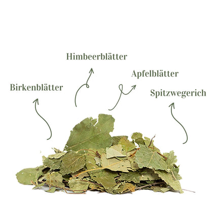 Terrakraut Kronengrün – 200 g