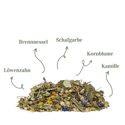 Terrakraut Wildwuchs – 200 g